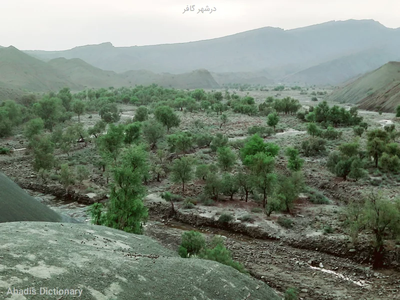 درشهر گافر